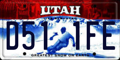 UT license plate D511FE