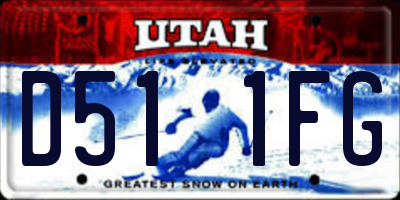 UT license plate D511FG