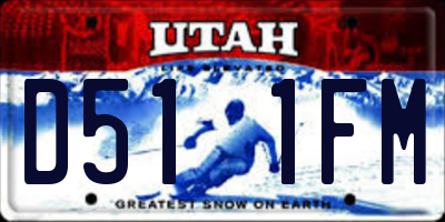 UT license plate D511FM