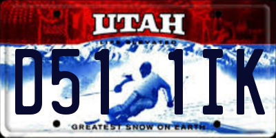UT license plate D511IK