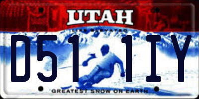 UT license plate D511IY