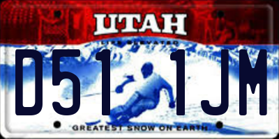 UT license plate D511JM