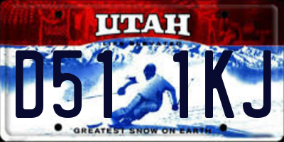 UT license plate D511KJ