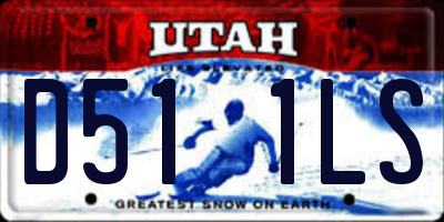 UT license plate D511LS