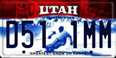 UT license plate D511MM
