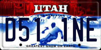 UT license plate D511NE
