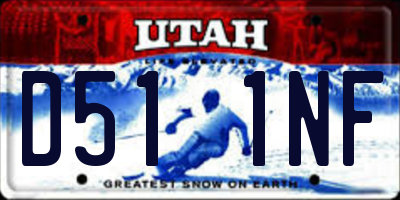 UT license plate D511NF