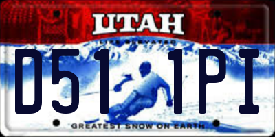 UT license plate D511PI