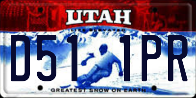 UT license plate D511PR