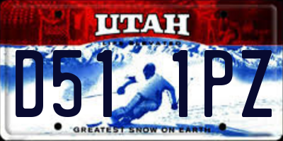 UT license plate D511PZ