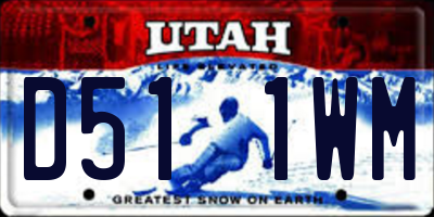 UT license plate D511WM