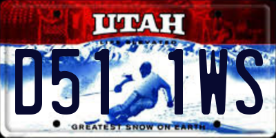 UT license plate D511WS