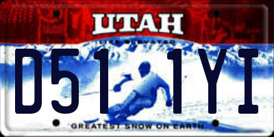 UT license plate D511YI