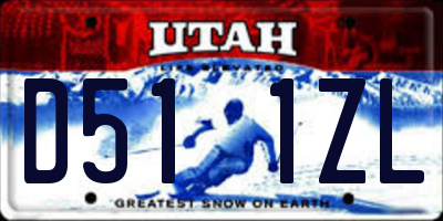 UT license plate D511ZL