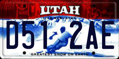 UT license plate D512AE