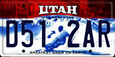UT license plate D512AR