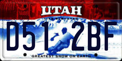 UT license plate D512BF