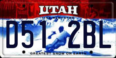 UT license plate D512BL