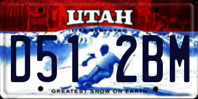UT license plate D512BM