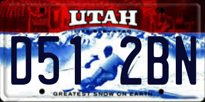 UT license plate D512BN
