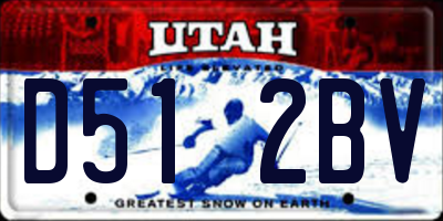UT license plate D512BV