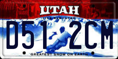 UT license plate D512CM