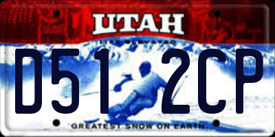 UT license plate D512CP