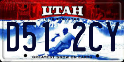 UT license plate D512CY