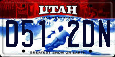 UT license plate D512DN