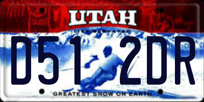 UT license plate D512DR