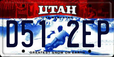 UT license plate D512EP
