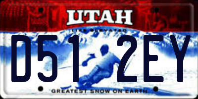 UT license plate D512EY