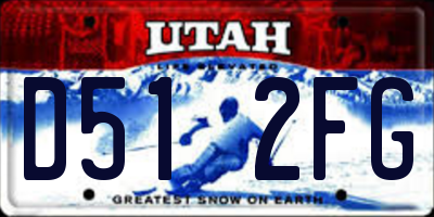 UT license plate D512FG