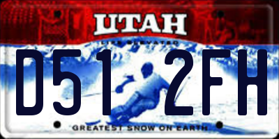 UT license plate D512FH