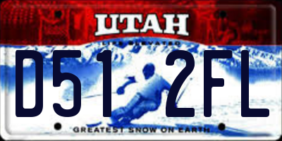 UT license plate D512FL