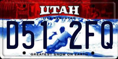 UT license plate D512FQ