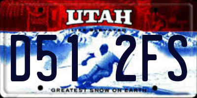 UT license plate D512FS