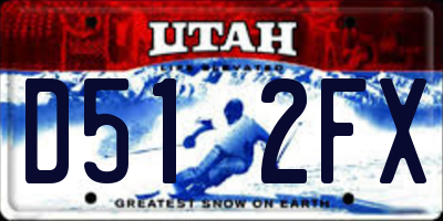 UT license plate D512FX