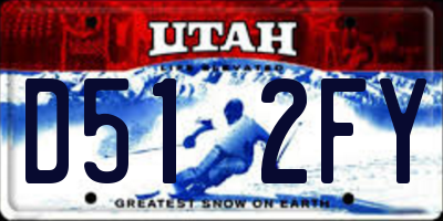 UT license plate D512FY