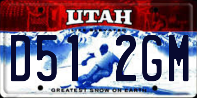 UT license plate D512GM
