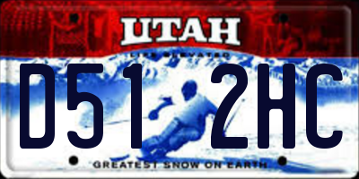 UT license plate D512HC