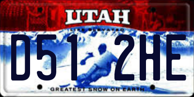 UT license plate D512HE