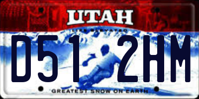 UT license plate D512HM