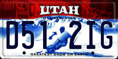 UT license plate D512IG