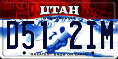UT license plate D512IM