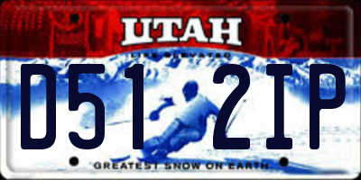 UT license plate D512IP