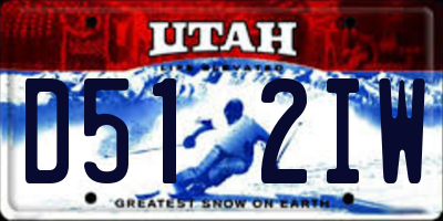 UT license plate D512IW