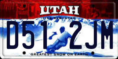 UT license plate D512JM