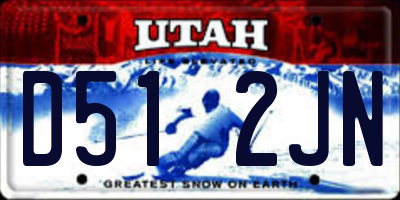 UT license plate D512JN