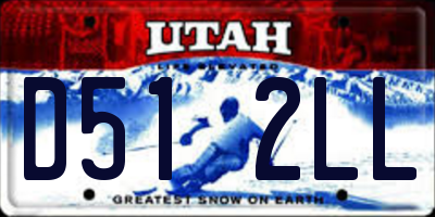 UT license plate D512LL